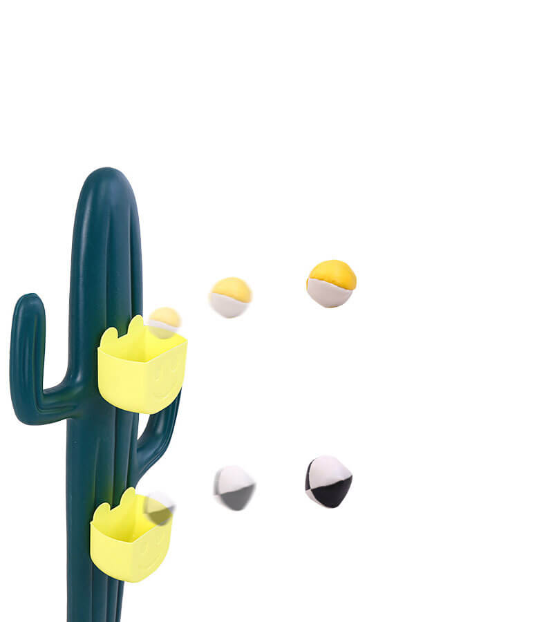 Cactus 3 in 1